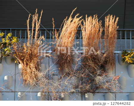 東京都・味の素スタジアム 127644282