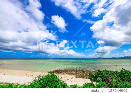 透き通るエメラルドグリーンが輝く石垣島のALOALOビーチ 127644601