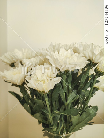 Bouquet of white chrysanthemums resting in glass vase on table 127644796