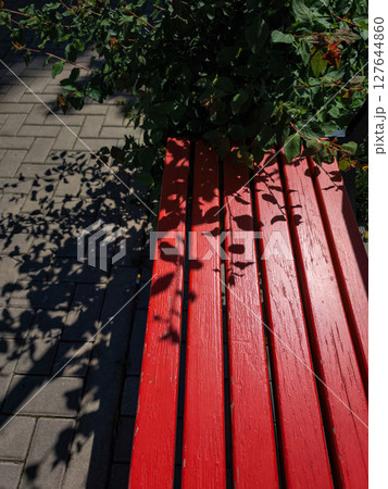 Red bench with leaves shadow casting on sidewalk copy space 127644860