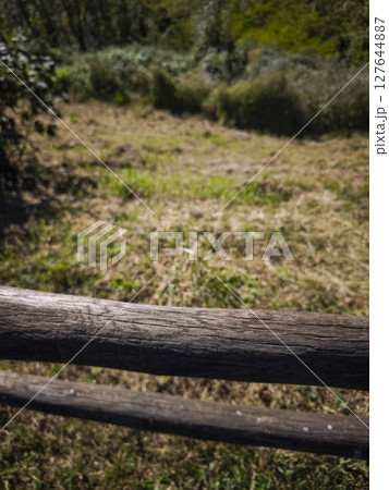 Aged wooden fence bordering grassy meadow near aosta, capturing rustic italian countryside with autumn's muted golden hues targnod Aged wooden fence bordering grassy meadow near aosta, capturing rustic italian countryside with autumn's muted golden hues targnod 127644887