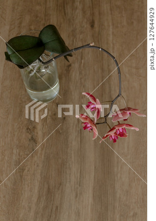 Pink orchid blossoming in glass vase on wooden table copy space 127644929