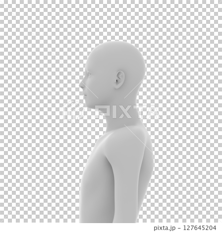 人體頭部、臉部、上身 127645204