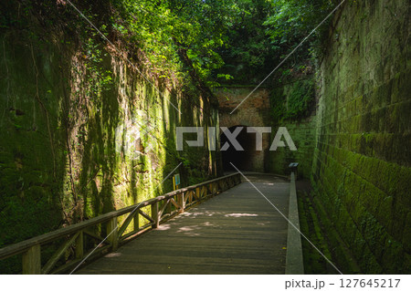 神奈川県 横須賀市 猿島 神奈川県 横須賀市 猿島 127645217