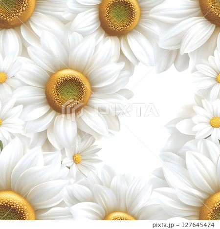 Bright and realistic white daisies with yellow centers arranged in a circular composition on a white background. Perfect for greeting cards, floral designs, or nature-inspired projects. 127645474