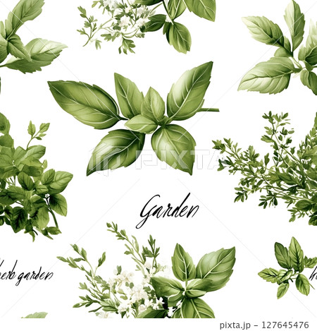 Seamless pattern of green garden herbs like basil, parsley, and thyme with elegant lettering Garden . Perfect for culinary projects, organic products, or kitchen decor designs. 127645476
