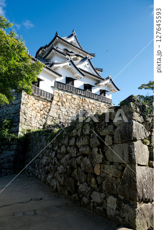 滋賀県彦根市_北側からの彦根城3_2024年9月 滋賀県彦根市_北側からの彦根城3_2024年9月 127645593