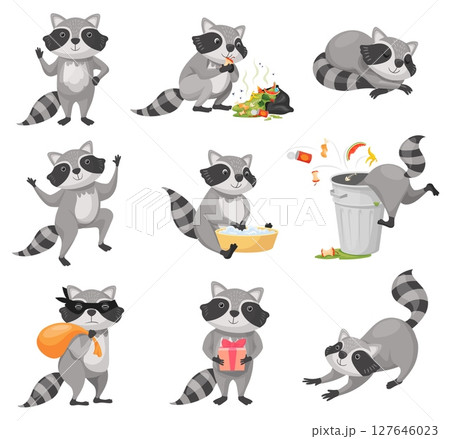 Cartoon raccoon. Racoon cute character funny animal mascot pose, baby racoons happy face racoon burglar zoo wild nature life coon in trash can, animals set neat vector illustration 127646023