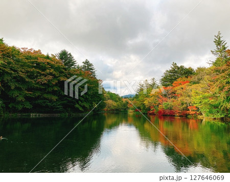 色づき始めた池 127646069