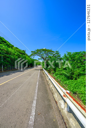 青空と緑が美しい石垣島北部の静かな田舎道の風景 南国ドライブ 青空と緑が美しい石垣島北部の静かな田舎道の風景 南国ドライブ 127646231