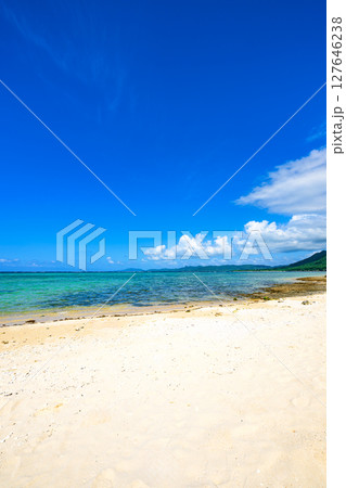 石垣島の楽園　透明度抜群のエメラルドグリーンが美しいALOALOビーチ 127646238