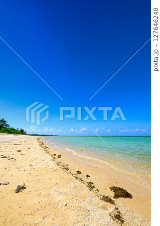 石垣島の楽園　透明度抜群のエメラルドグリーンが美しいALOALOビーチ 127646240