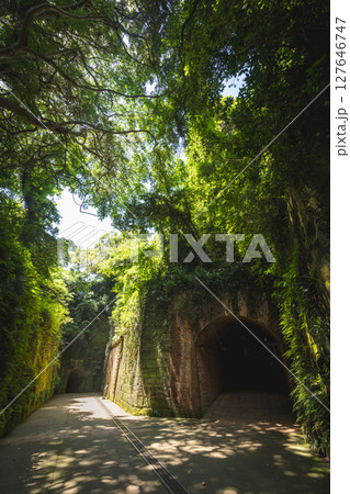 神奈川県　横須賀市　猿島　 127646747