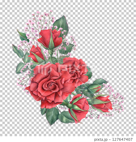 Red roses and pink gypsophila with lush green leaves watercolor illustration isolated on white background. Flower with foliage for wedding invitations, floral packaging, and feminine home decor. 127647407
