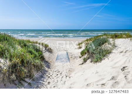 Pristine Baltic Sea Beach Path Through White Sand Dunes and Grassy Marram Under Blue Sky Pristine Baltic Sea Beach Path Through White Sand Dunes and Grassy Marram Under Blue Sky 127647483