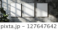 Three blank posters on a concrete wall with natural light and plant 127647642
