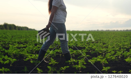 Agriculture, Agricultural analysis, New crop techniques, Woman walking field, Smart agriculture management, Monitoring green shoots, Farming in action, Tech tools in agriculture, Early season farming 127648020