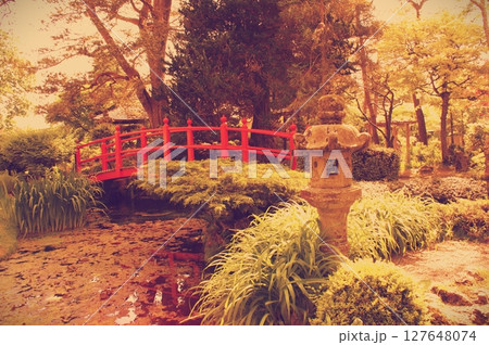 Traditional Japanese garden landscape with lantern and bridge 127648074
