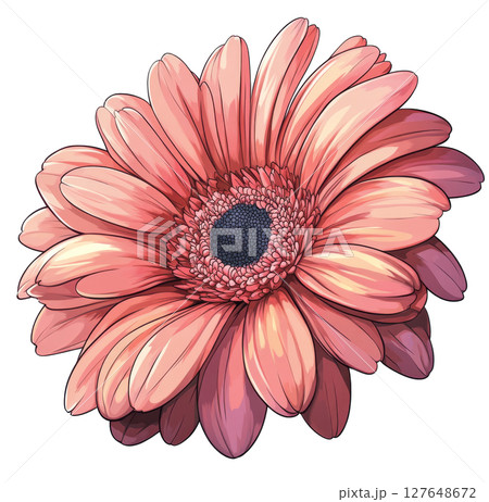 Beautiful pink gerbera daisy blooming with green leaves in a bright, lively illustration Beautiful pink gerbera daisy blooming with green leaves in a bright, lively illustration 127648672