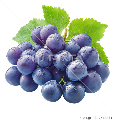 Fresh Ripe Purple Grapes With Dew Drops on a Green Leaf Under Natural Light in a Garden Setting 127648814