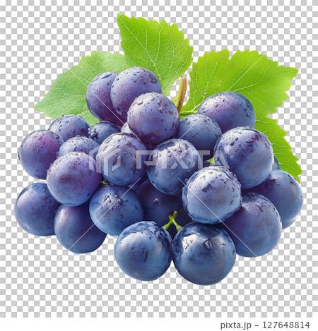 Fresh Ripe Purple Grapes With Dew Drops on a Green Leaf Under Natural Light in a Garden Setting 127648814
