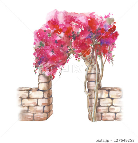 Watercolor composition with a stone arch and a pink Bougainvillea bush, hand-painted. Watercolor illustration isolated on a white background. Traditional Mediterranean architectural elements. Clipart 127649258