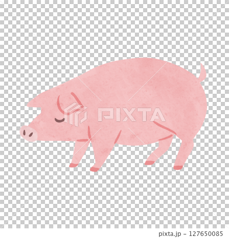 粉紅豬水彩手繪插畫 粉紅豬水彩手繪插畫 127650085