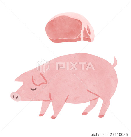 ピンク色の豚と豚肉 水彩風手描きイラスト ピンク色の豚と豚肉 水彩風手描きイラスト 127650086