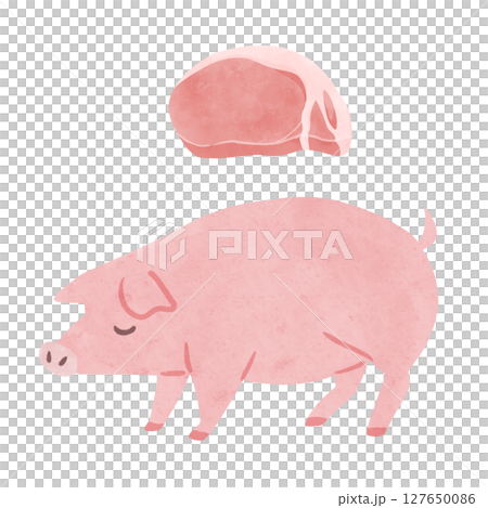ピンク色の豚と豚肉 水彩風手描きイラスト ピンク色の豚と豚肉 水彩風手描きイラスト 127650086
