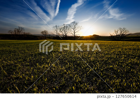 草原の向こうに落ちて行く太陽(やまなみハイウェイ) 草原の向こうに落ちて行く太陽(やまなみハイウェイ) 127650614