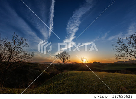 日が傾いた空に残る飛行機雲（やまなみハイウェイ） 127650622