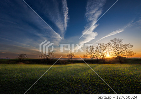 日が傾いた空に残る飛行機雲（やまなみハイウェイ） 127650624