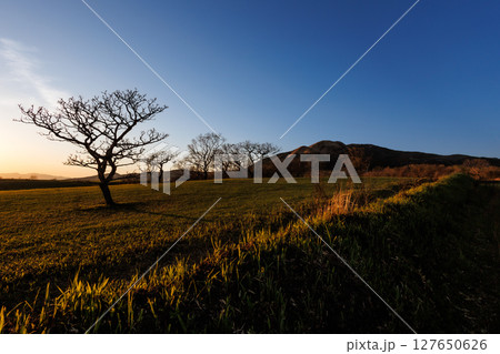 草原の向こうに落ちて行く太陽(やまなみハイウェイ) 草原の向こうに落ちて行く太陽(やまなみハイウェイ) 127650626