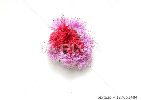 白背景のモナルダとヤグルマギクの花束 127651484