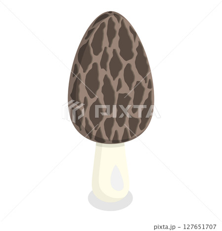 3D Isometric Flat  Set of Mushrooms. Item 8 127651707