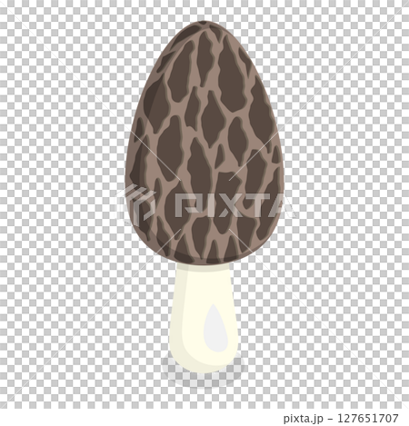3D Isometric Flat  Set of Mushrooms. Item 8 127651707