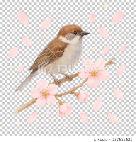 麻雀和櫻花樹的水彩手繪春天插圖 127652623