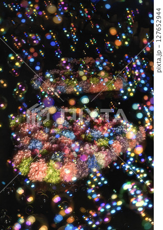 雨引観音の紫陽花ライトアップ 雨引観音の紫陽花ライトアップ 127652944