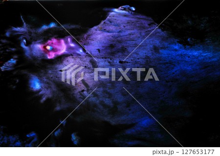 マントを広げる鳥仮面の男 127653177