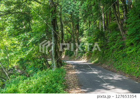 余呉湖周遊道路　県道532号線　滋賀県長浜市余呉町 127653354