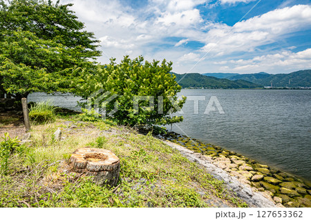 余呉湖湖岸風景　滋賀県長浜市余呉町 127653362