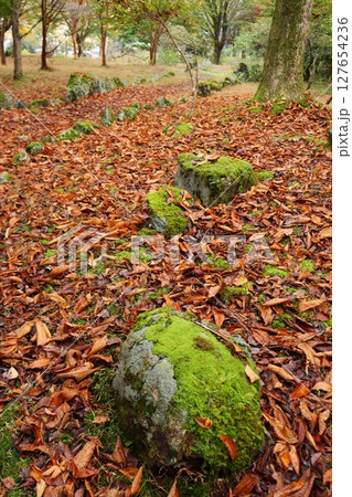 落ち葉の散策路　晩秋 127654236