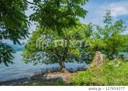 余呉湖 湖岸風景　滋賀県長浜市余呉町 127654277