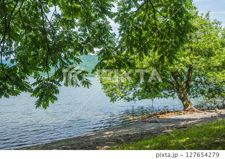 余呉湖 湖岸風景　滋賀県長浜市余呉町 127654279