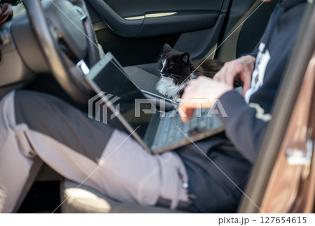 Man working on laptop inside car with a black cat relaxes on passenger seat, concept of remote work Man working on laptop inside car with a black cat relaxes on passenger seat, concept of remote work 127654615