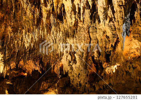 沖縄の鍾乳洞　CAVE OKINAWA 127655201