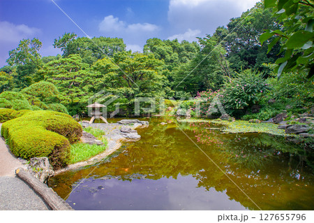 皇居東御苑の庭園 皇居東御苑の庭園 127655796