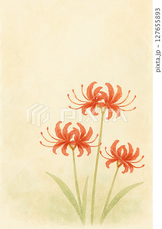 水彩で描いた彼岸花のフレーム 127655893