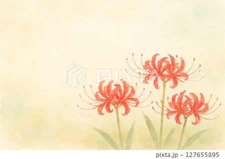 赤い彼岸花 127655895