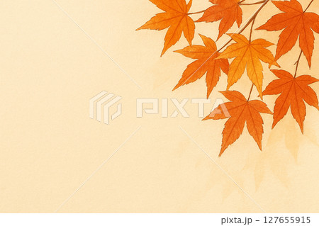 紅葉したカエデの葉 127655915